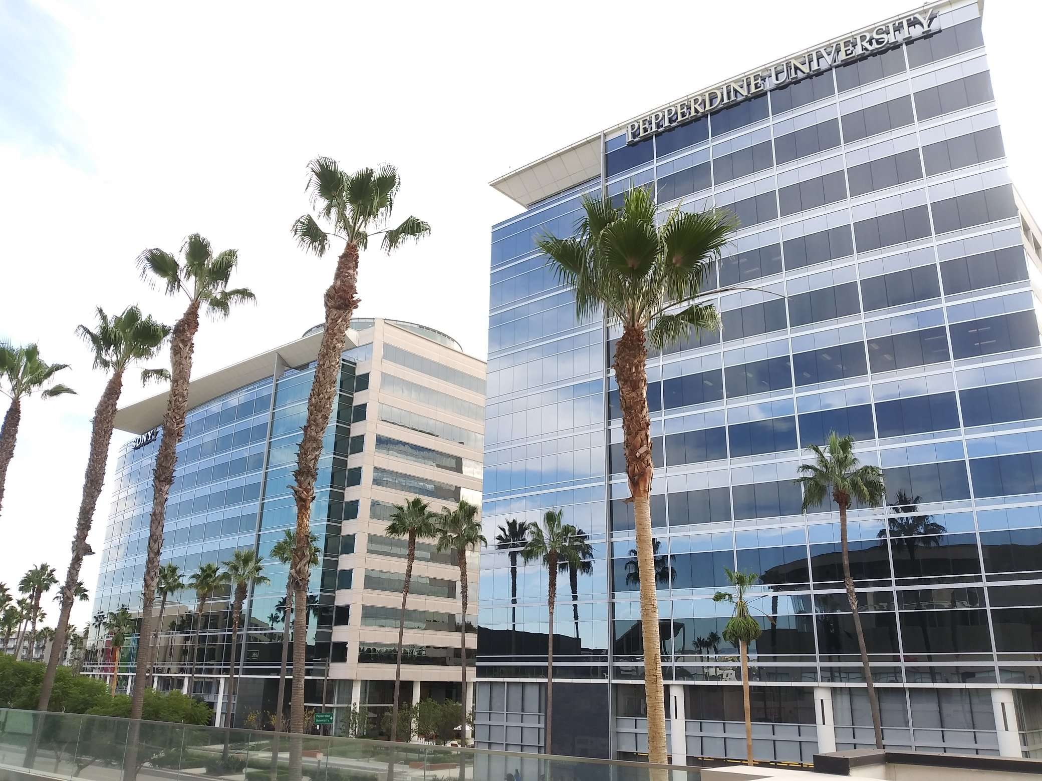 Los Angeles Academy of Media and Technology headquarters in Silicon Beach, Los Angeles